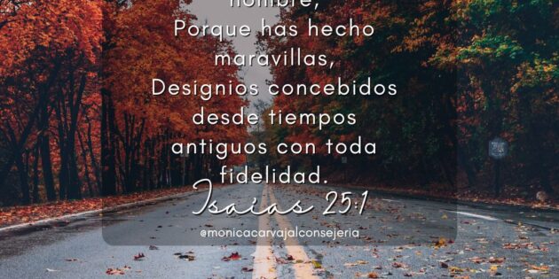 Un nuevo aniversario de la gracia de Dios